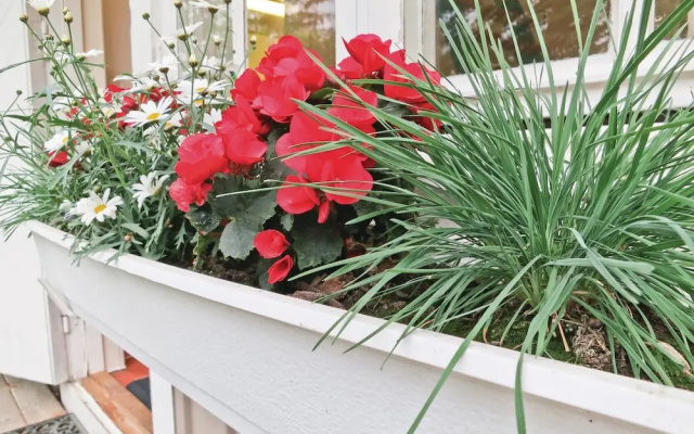 Awesome Home in Färjestaden With 1 Bedrooms and Wifi