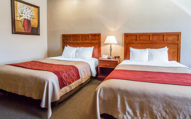 Comfort Inn at Convention Center