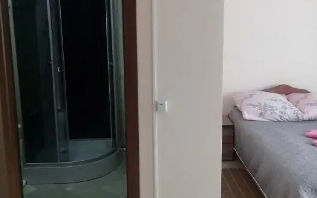 Центральная