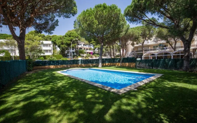 Calsina Bax 2h