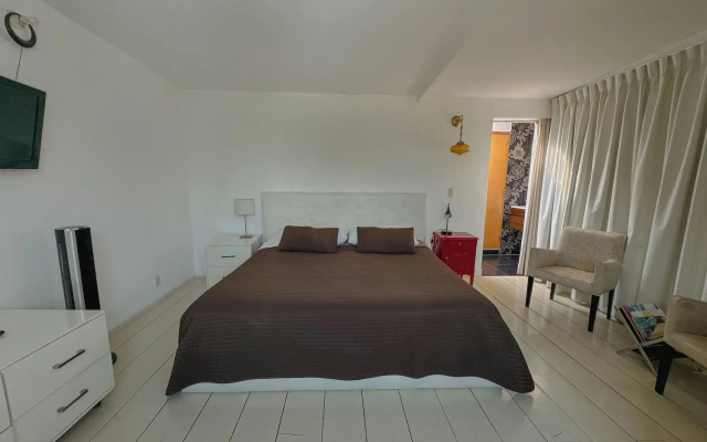 Condesa Haus Rentals