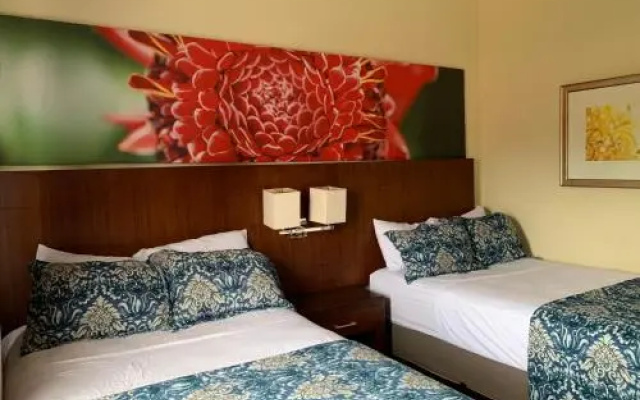 Jaco Sol Quadplex 11A
