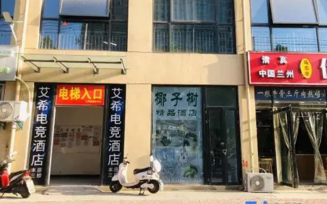 Bozhou Coconut Tree Boutique Homestay
