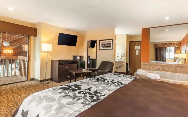 Rodeway Inn