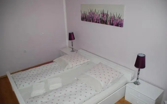 Koral