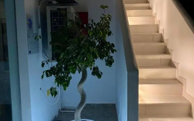 Hotel Stella