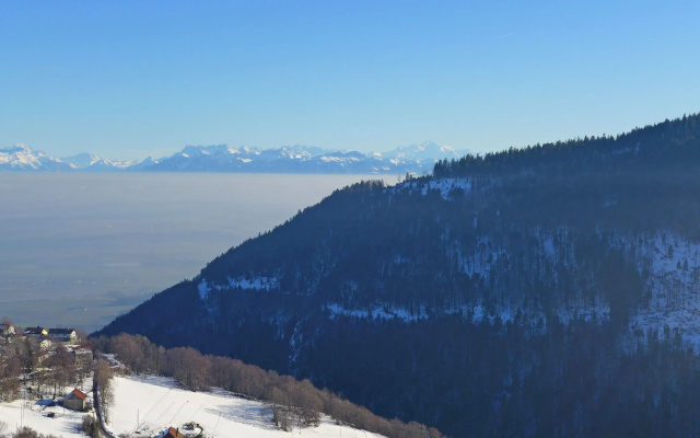 Centaure