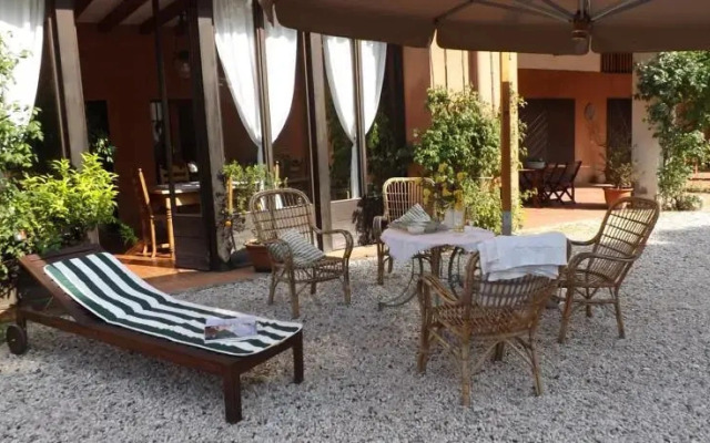 Il Bagolaro