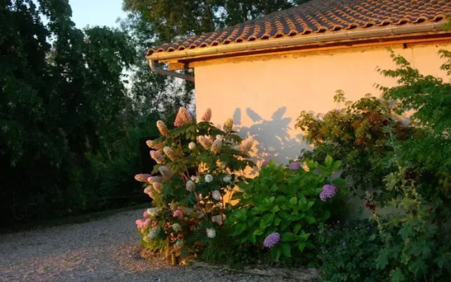 Les Vignes de Darneche