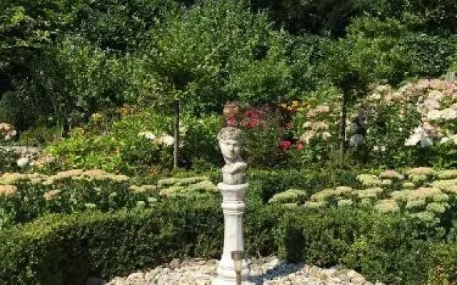 Bed & Breakfast The Rose