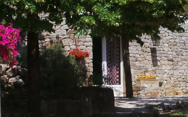 The Lotus Tree Guesthouse