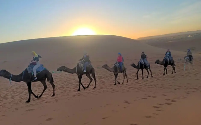 Desert Family Luxury Camp