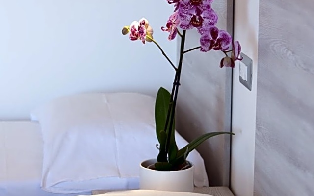 Giglio di mare Resort