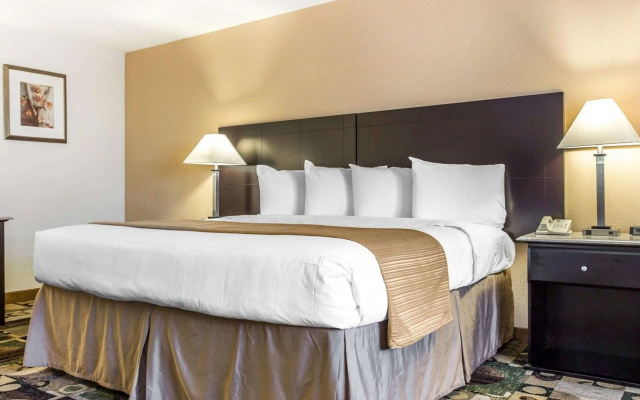 Quality Inn & Suites Coliseum