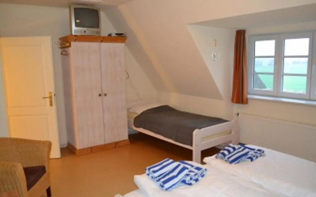 Silbermöwe