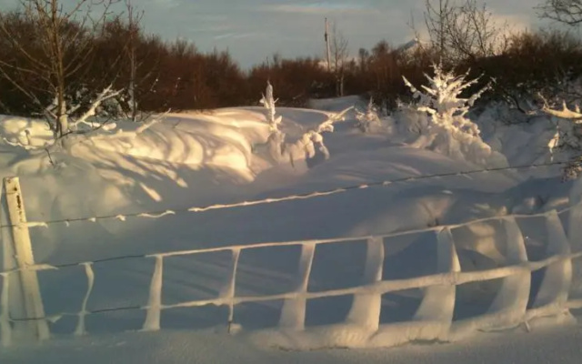 Tunga Holiday Home