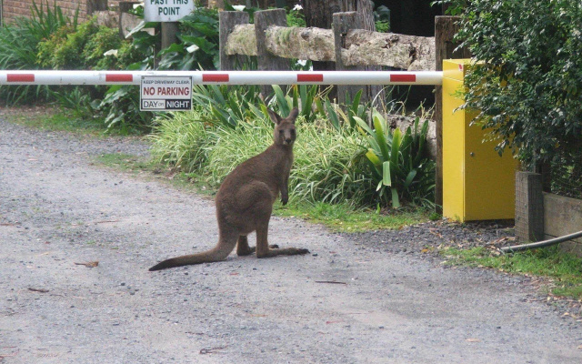 Jervis Bay Cabins & Hidden Creek Campsite