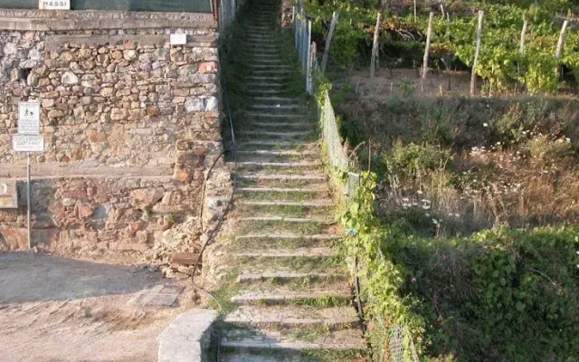 La Volpe e lUva Mare