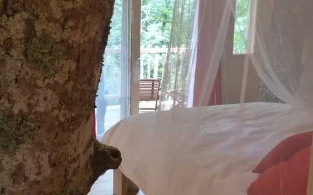 Le Carbet des Chouettes