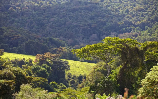 Mufindi Highland Lodge