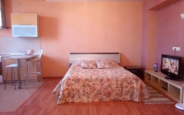 Apartment on Meditsinskaya 1a