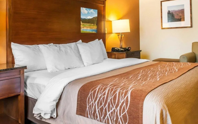 Comfort Inn Midtown