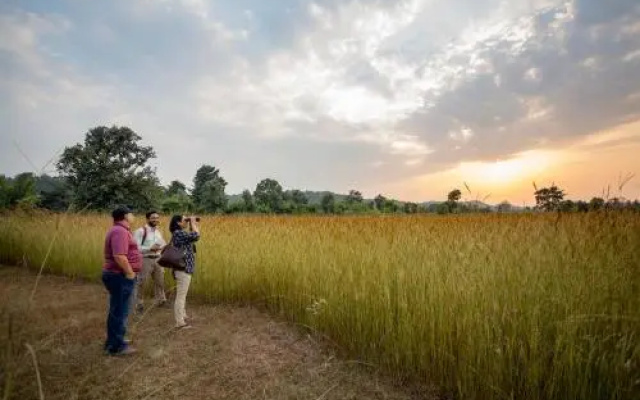 Tree House Hideway Bandhavgarh