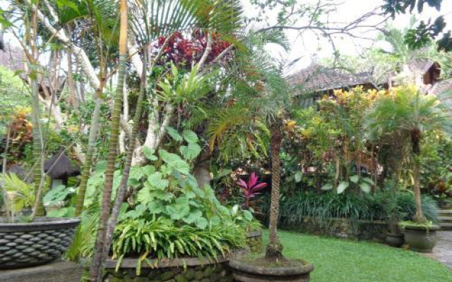 Klub Kokos Bungalows