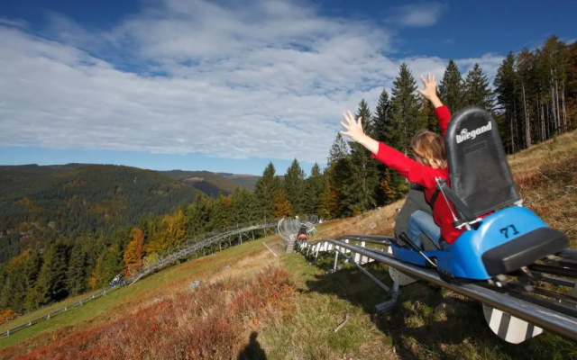Ferienwohnung Seeblick Nr 3, 2 Zi-Bärental, Feldberg