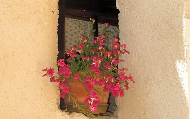 PANEERIPOSO