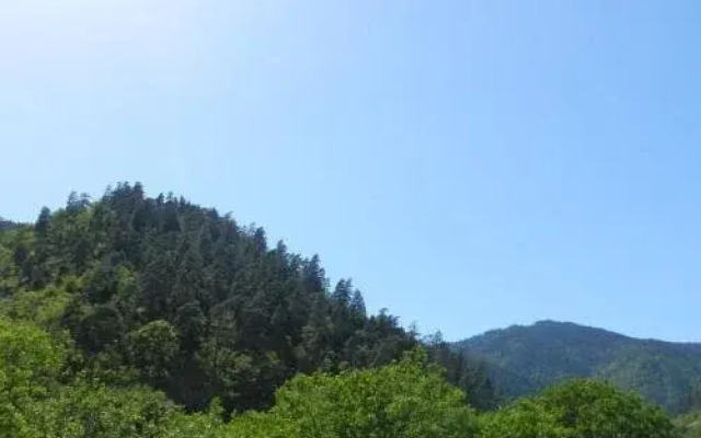 Zviad Guest House