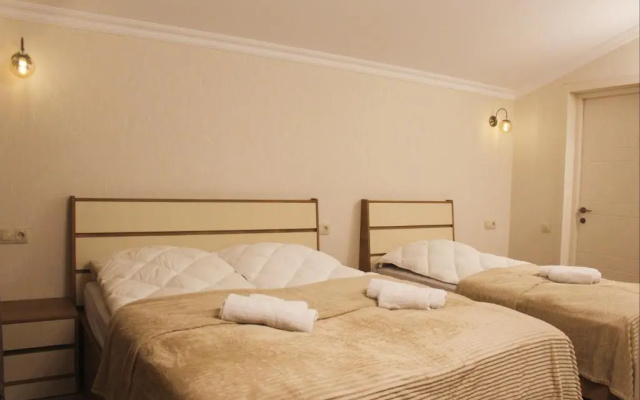 Mountain Villa Didveli