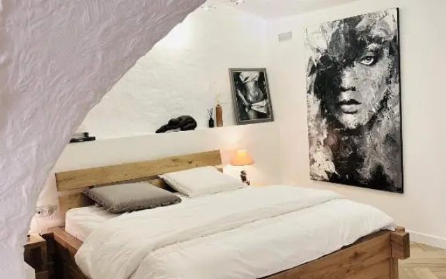 Superbe appartement au château d'Allaman de 80m2