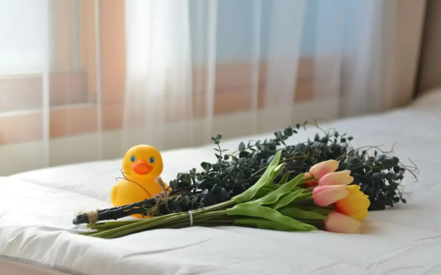 Season Helloworld House - Hostel