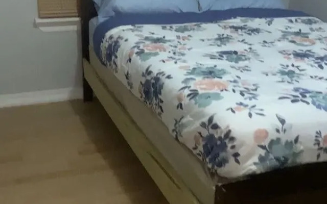 The Comfy Cozy