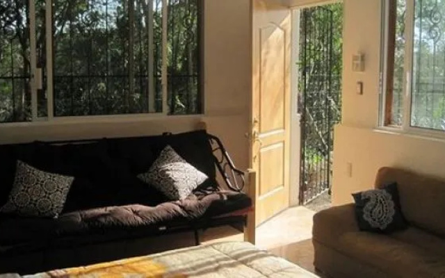 Yucatan Mayan Retreat Ecohotel and Camping