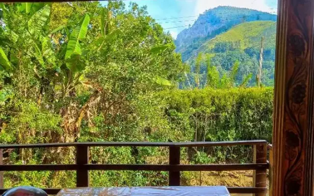 Ella Happy View