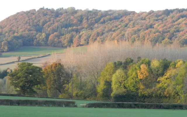 Cosy 5m Bell Tent Glamping in Rural Herefordshire