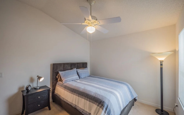 Audrey Lane 555 by White Pelican VR