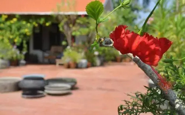 Villa Jacaranda