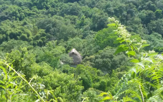 Minca Glamping