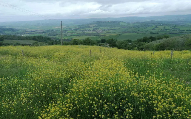Piane Del Bagno