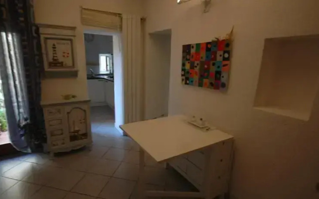 Bouganville 2