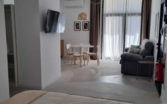 Apartamentos lleo san rius