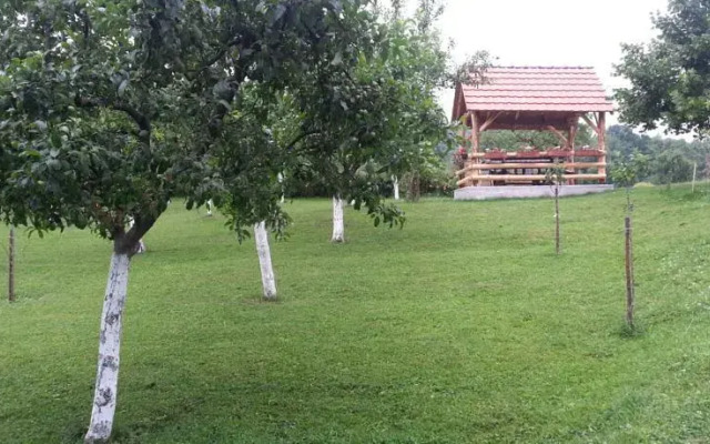 Apartment Mesić