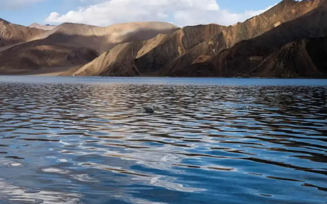 Alpine Cottage Pangong