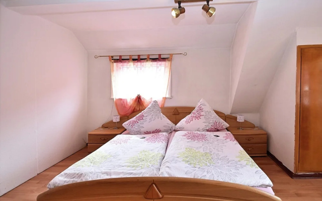 Apartment in Wildemann Near Hahnenklee Ski Area