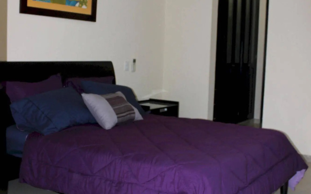 B&B Pelicanos