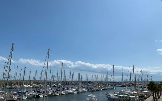 Gruissan Pleine Vue Sur Port