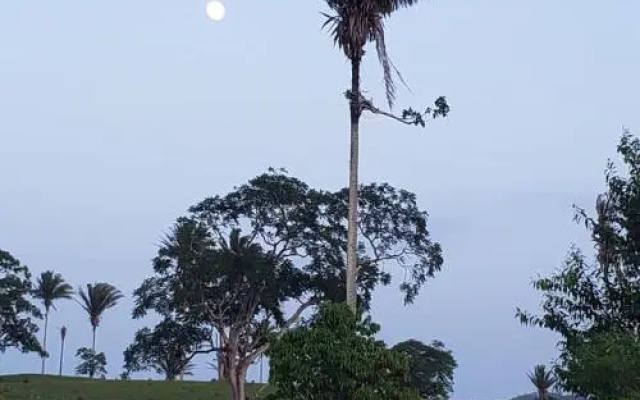 Clarissa Falls Resort